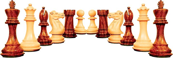 Sur la page accueil et la page contact du site l'échiquier Agenais, les différentes pièces d'un jeu d'échec en bois, sont disposées en alternance noir et blanc, image en symétrie par l'axe verticale